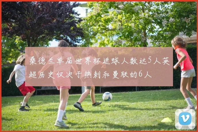 桑德兰单届世界杯进球人数达5人英超历史仅次于热刺和曼联的6人